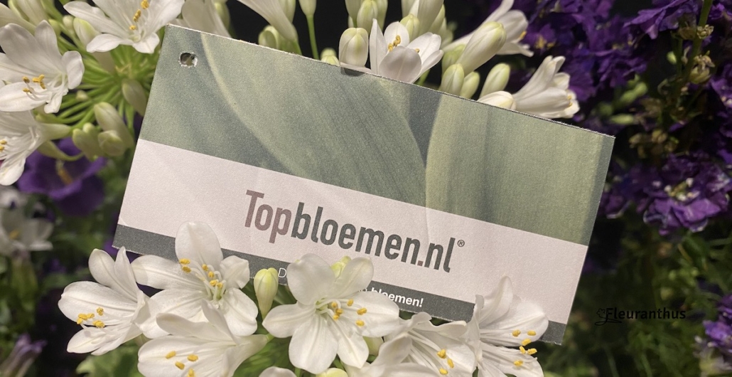 Topbloemen Enschede