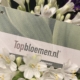 Topbloemen Enschede